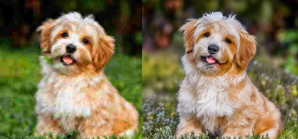 control_v11f1e_sd15_tile - AI Tool Cover Image