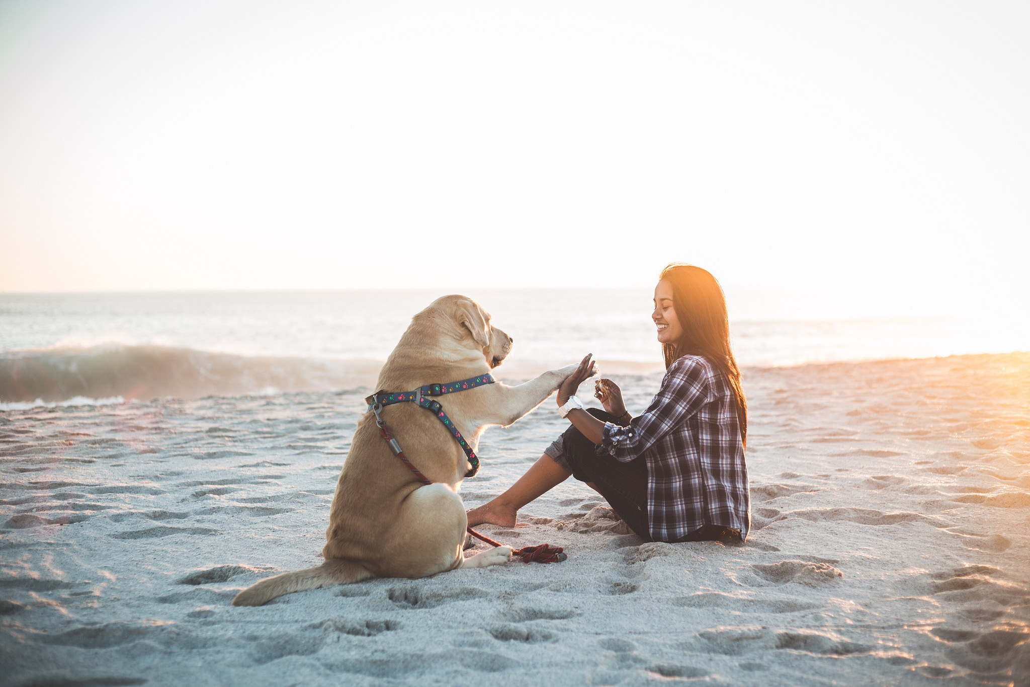 Before comparison sample