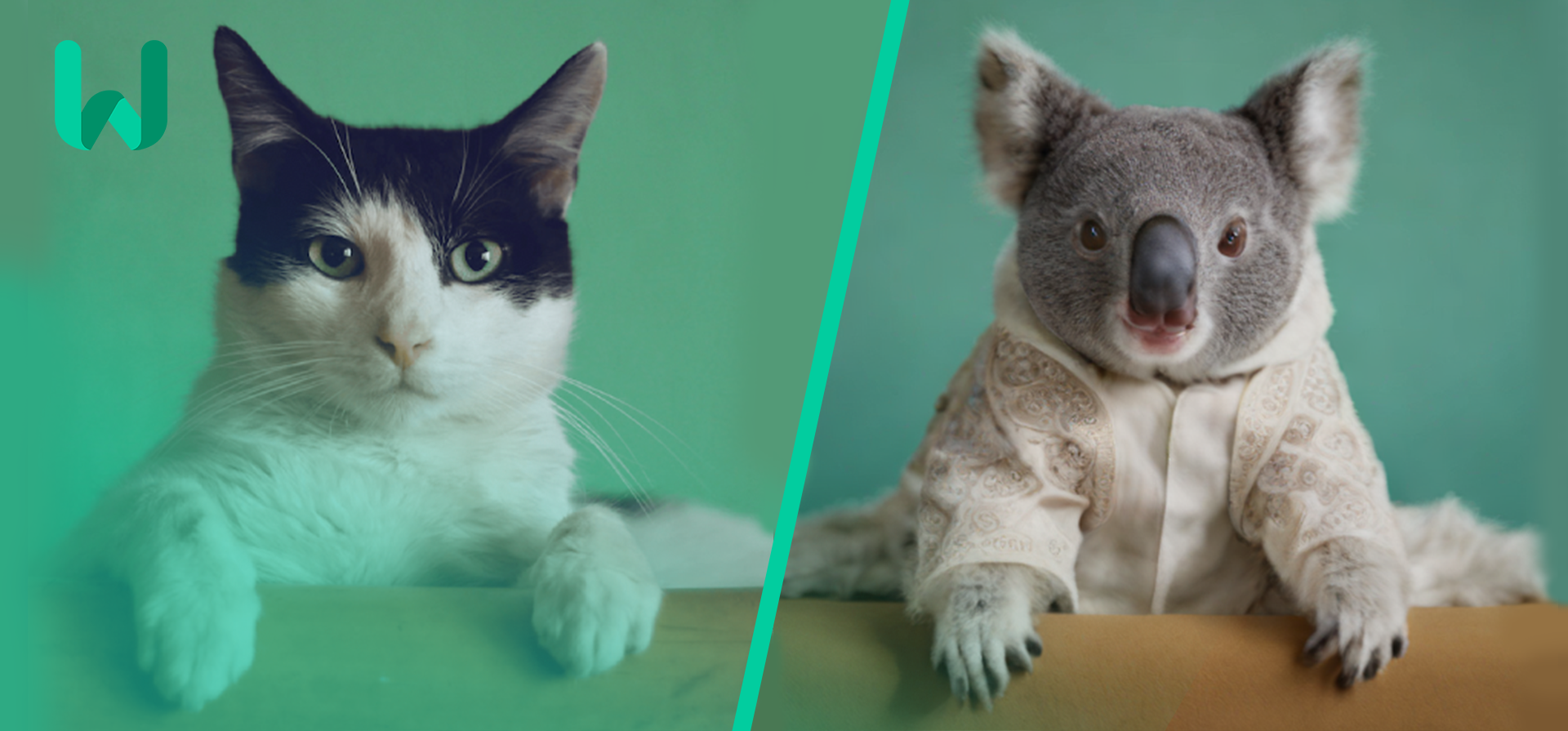 sdxl-turbo-img2img - AI Tool Cover Image