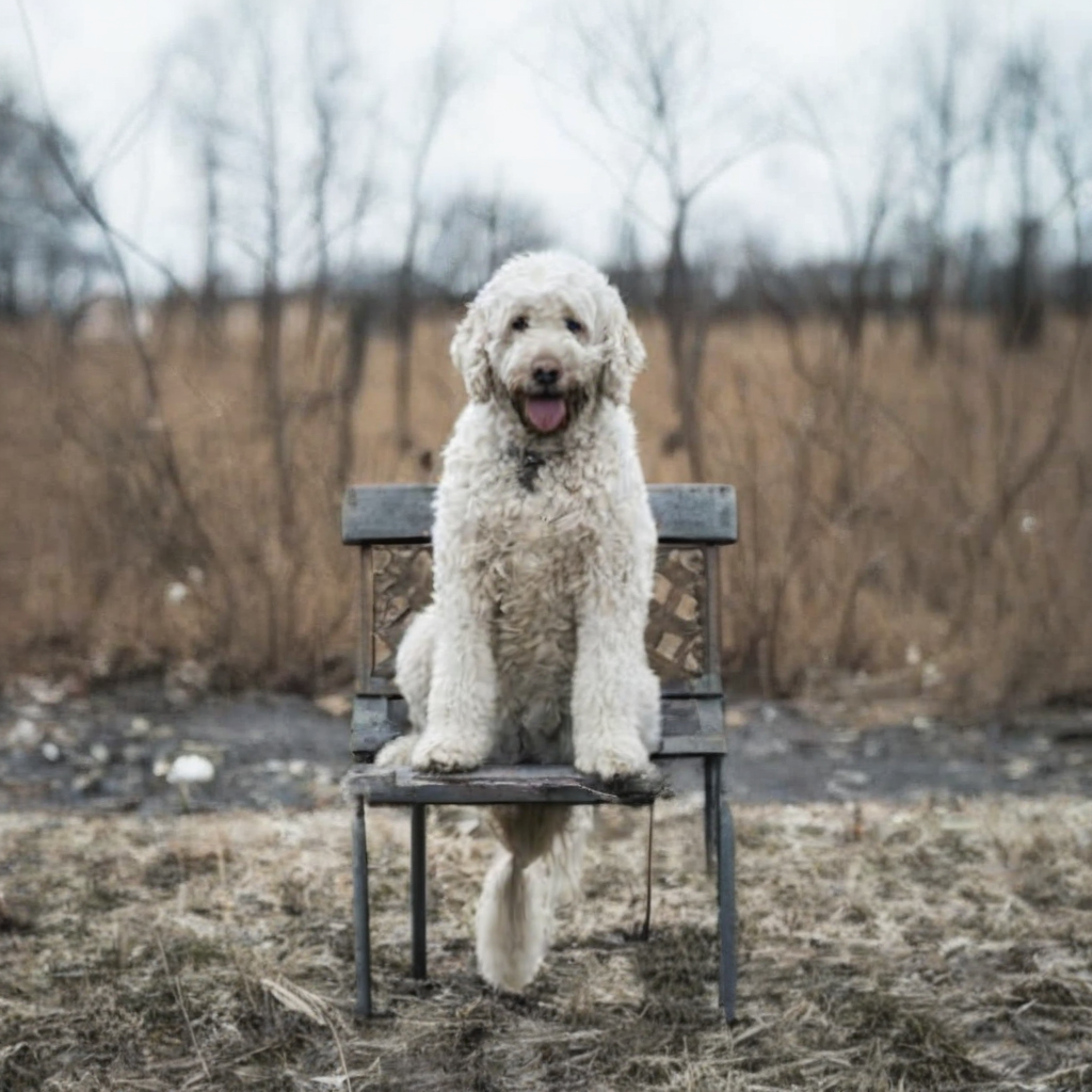 instant_style_sdxl_inpainting - AI Tool Cover Image