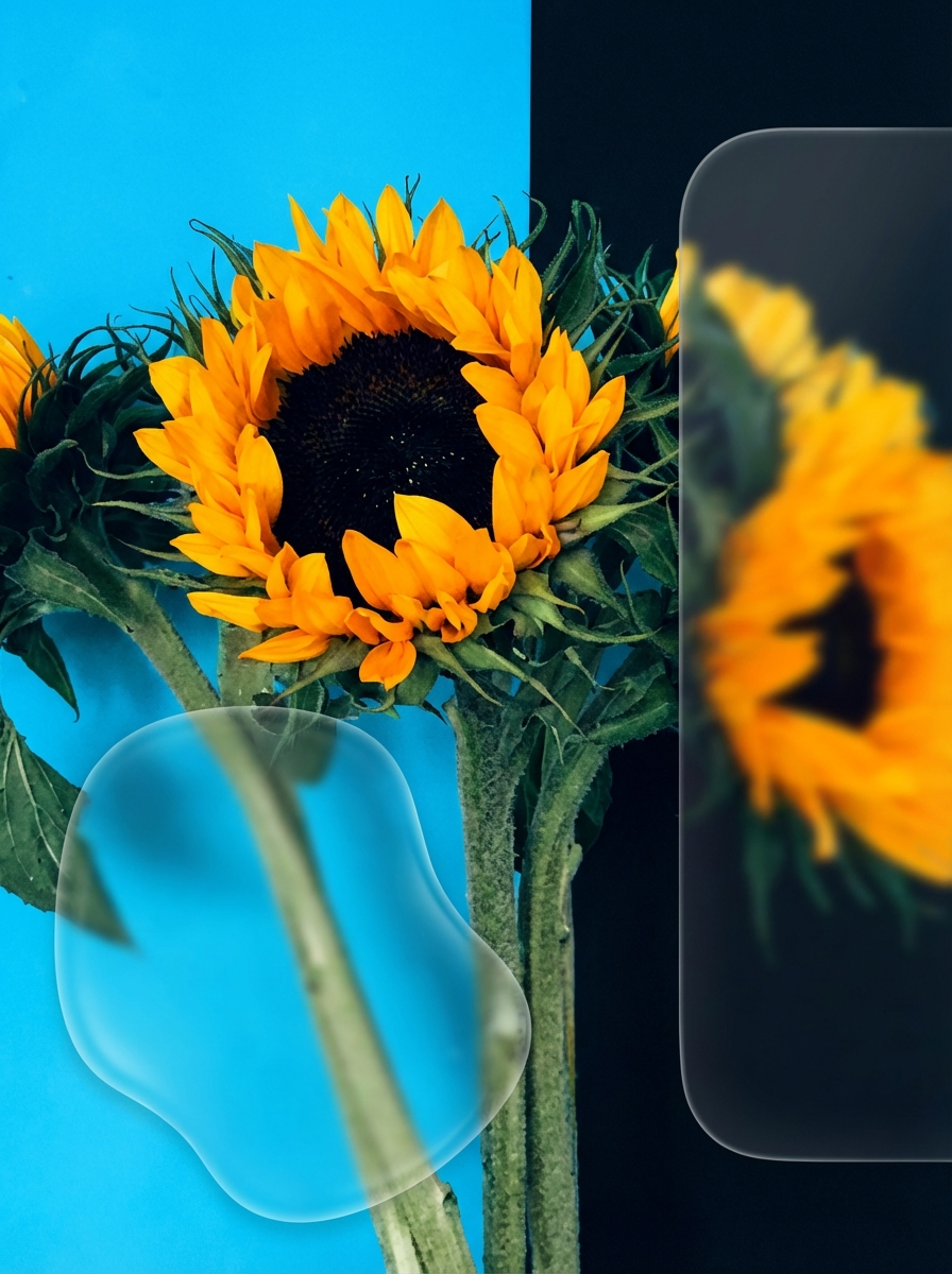 remove-background - AI Tool Cover Image